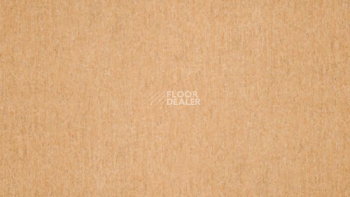 Линолеум Tarkett Travertine Pro TERRACOTTA 01 фото 1 | FLOORDEALER